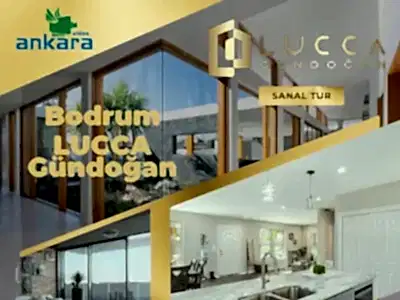 lucca gundogan sanaltur